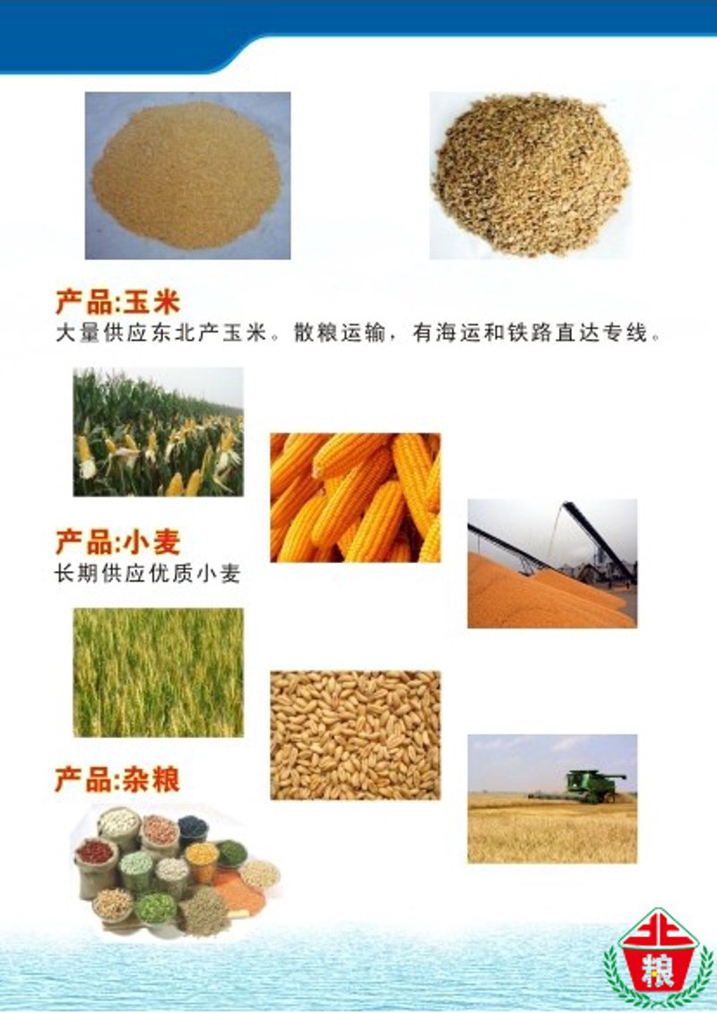 玉米价格波动,农民增收or减收?